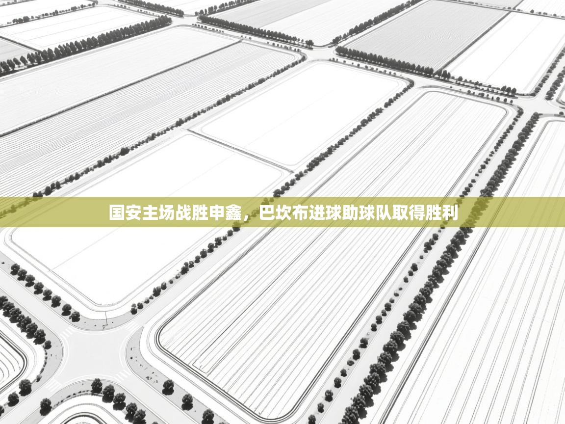 国安主场战胜申鑫,巴坎布进球助球队取得胜利 第2张