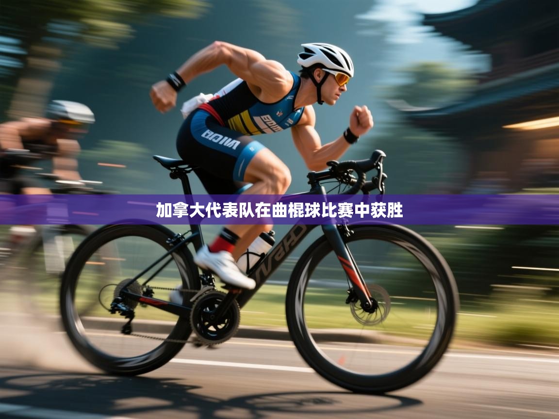 加拿大代表队在曲棍球比赛中获胜  第1张