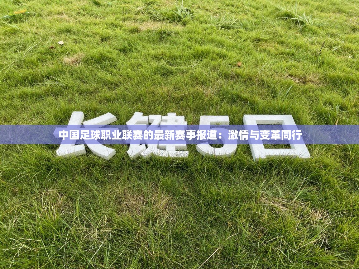 中国足球职业联赛的最新赛事报道：激情与变革同行  第1张