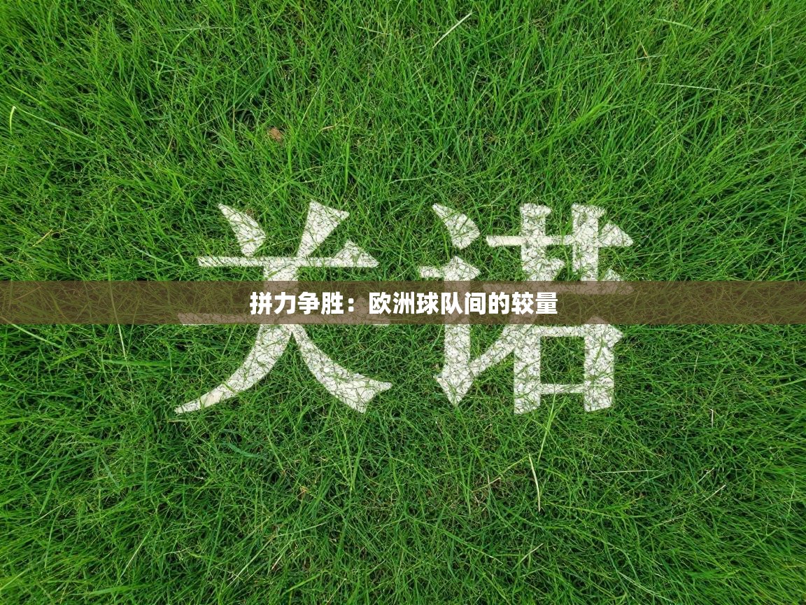 拼力争胜：欧洲球队间的较量  第2张